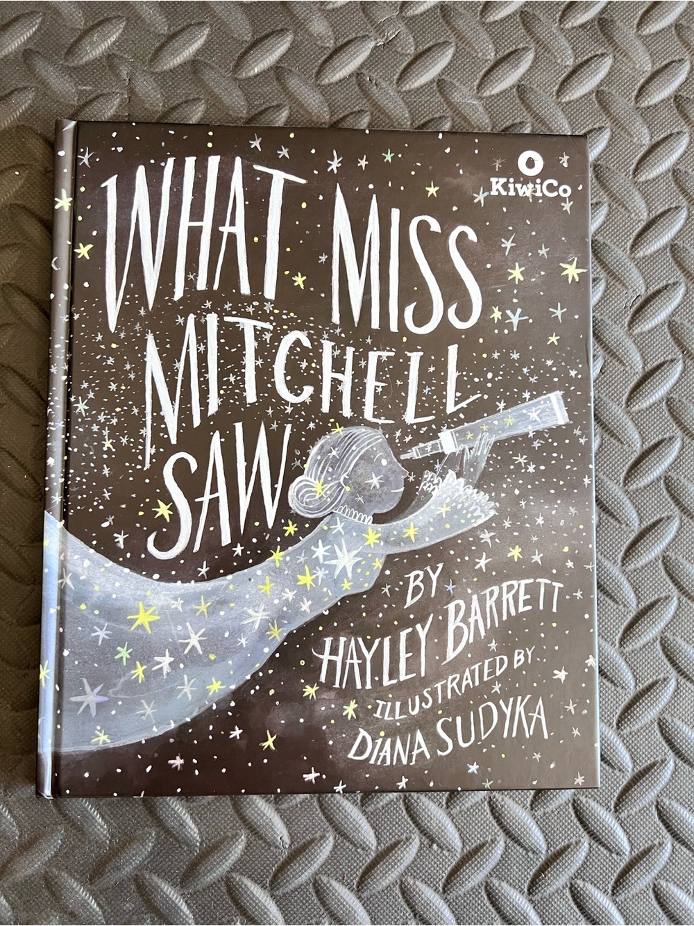 WHAT MISS MITCHELL SAW ~ Children Book by Hayley Barrett